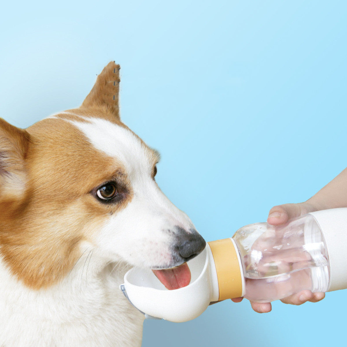Portable Dog Water Bottle With Integrated Drinking Cup