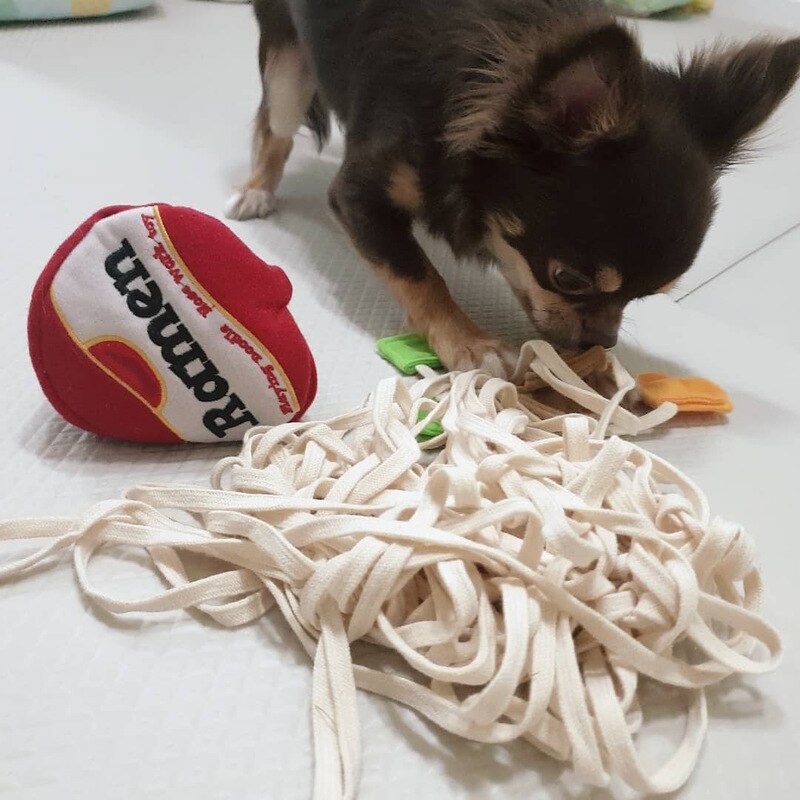 Snuffle Toy for Dogs: Indoor Nosework Enrichment Game