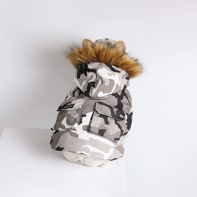 Small Dog Winter Jacket for Warm, Covered Outdoor Walks