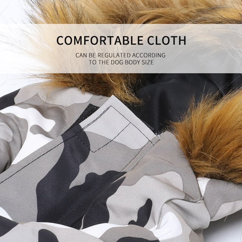 Small Dog Winter Jacket for Warm, Covered Outdoor Walks