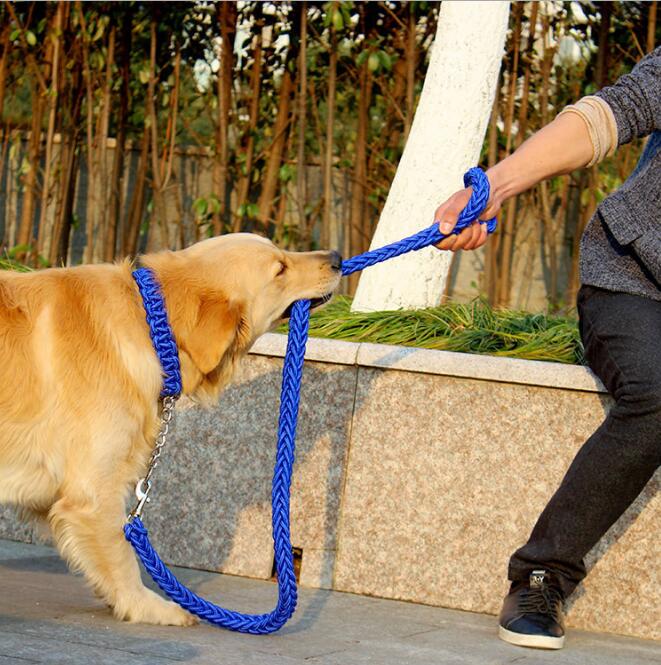 Large Dog Rope Leash & Chain Collar Set for Control