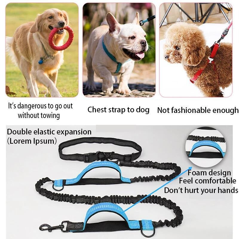 Dual Bungee Dog Leash for Comfortable Running Walks