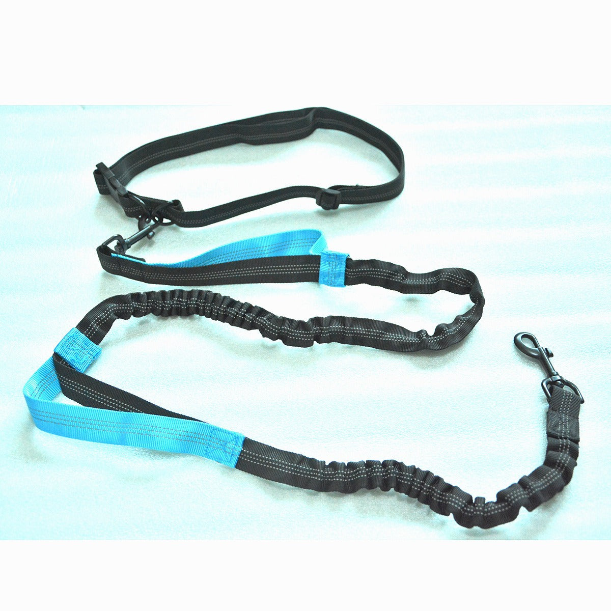 Dual Bungee Dog Leash for Comfortable Running Walks
