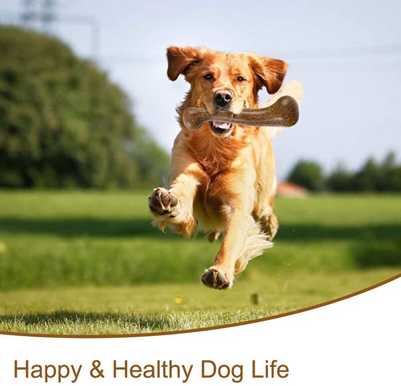 Durable Bamboo-Fiber Dog Chew Toy for Healthy Dental Care