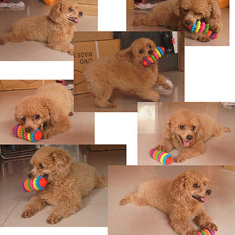 Rubber Dog Chew Toy for Dental Play & Boredom Relief