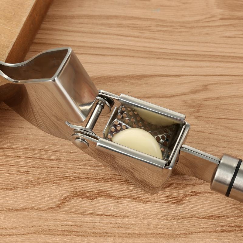 Stainless Steel Garlic Press with Peeler and Brush