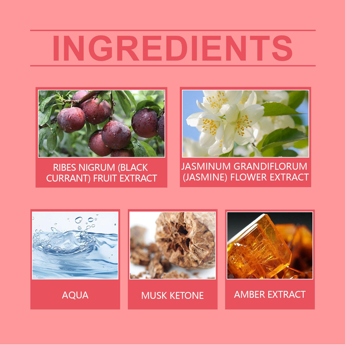 Amber Plum Body Mist – Fresh, Light Everyday Fragrance