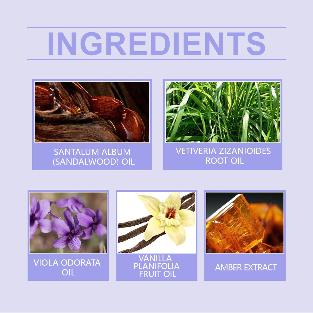 Violet Body Perfume Spray – Long-Lasting Fresh Scent