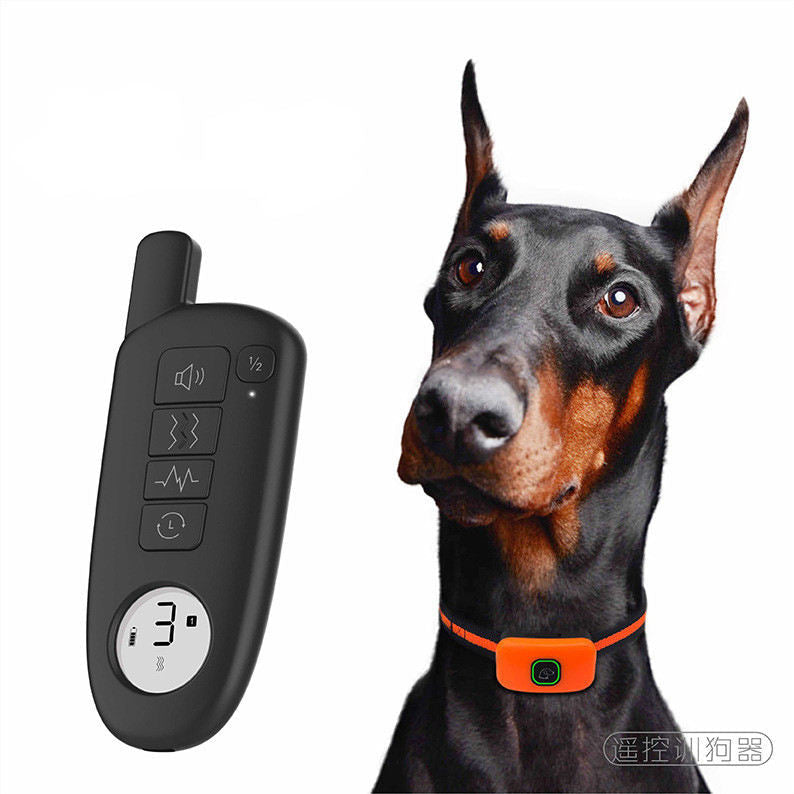Remote Dog Training Collar for Consistent Outdoor Control
