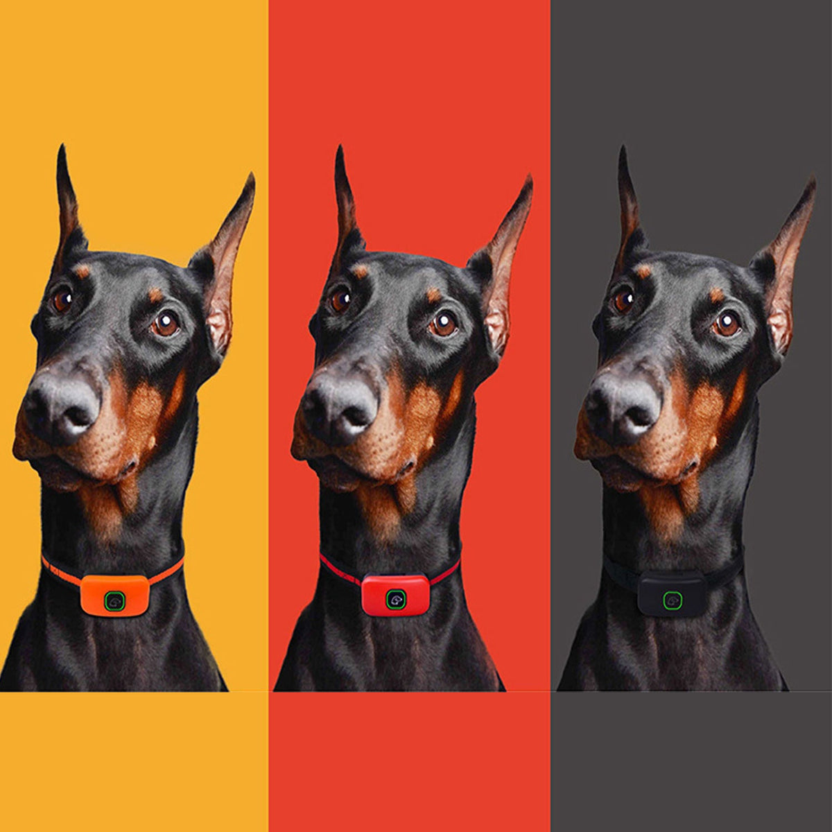 Remote Dog Training Collar for Consistent Outdoor Control