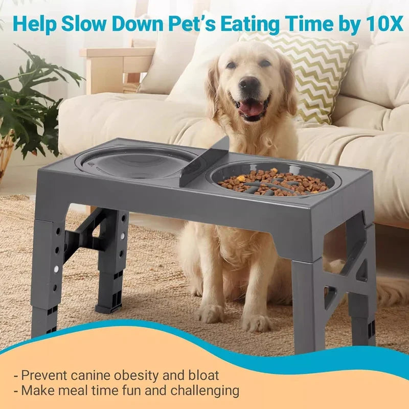 Elevated Dog Feeder with Adjustable Slow-Feed Bowl