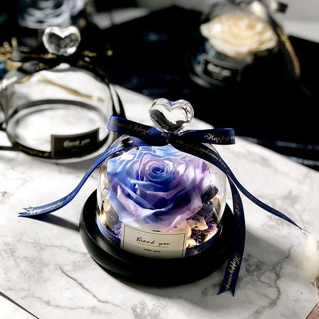 Preserved Rose Dome Gift With Warm Illuminated Lights
