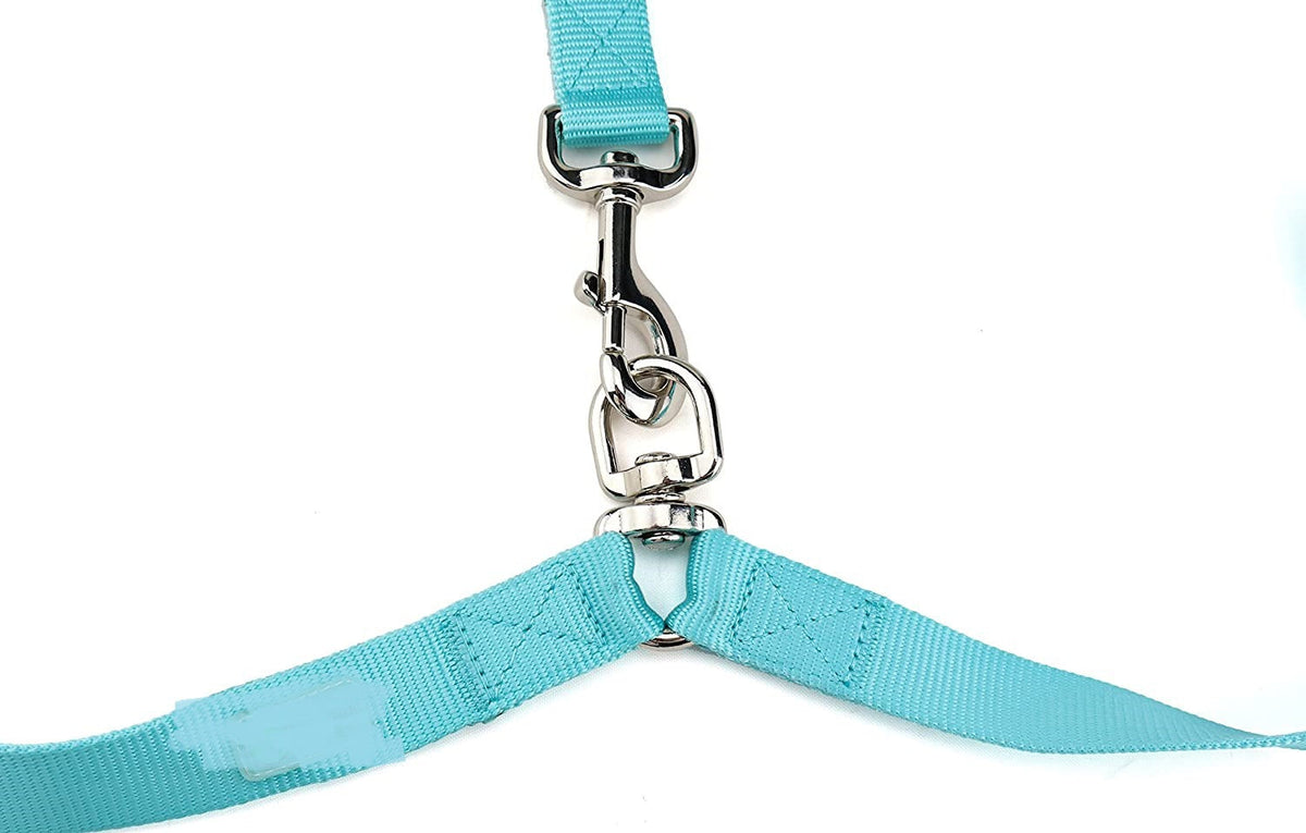 Double-Headed Dog Leash for Easier Daily Two-Dog Walks