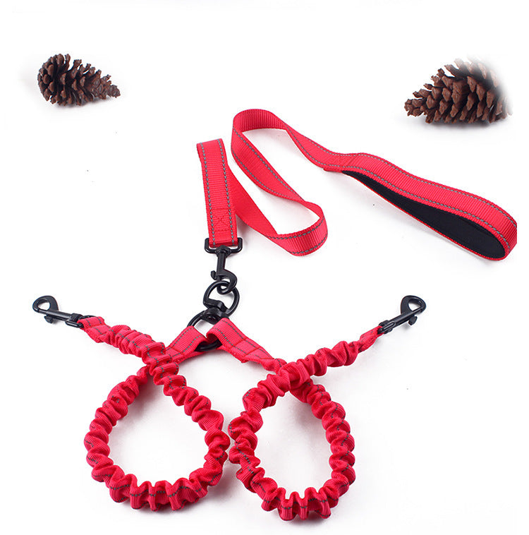 Double-Headed Dog Leash for Easier Daily Two-Dog Walks