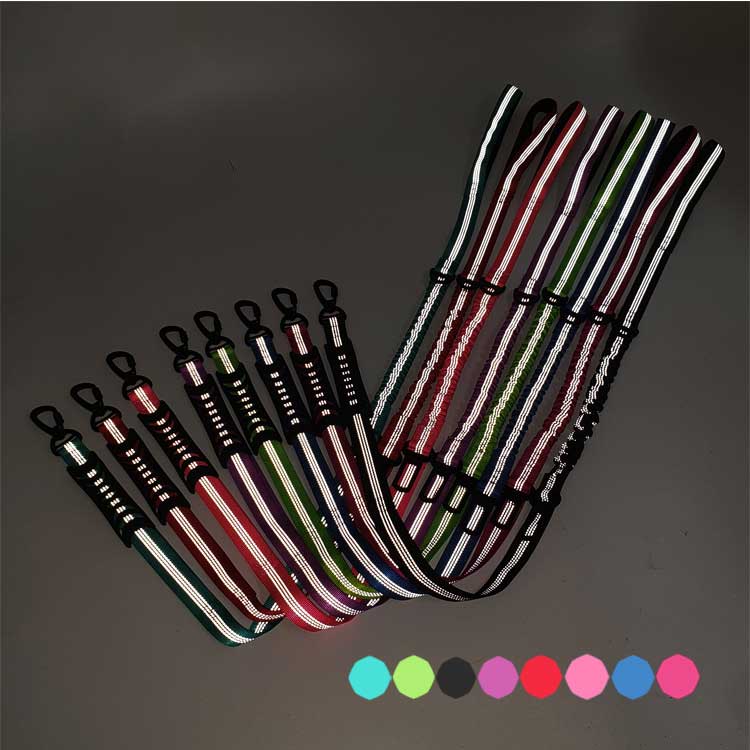 Reflective Shock-Absorbing Dog Leash for Car Travel