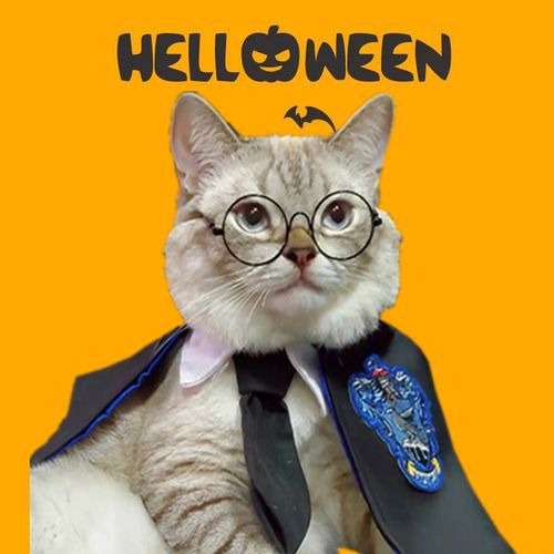 Pet Halloween Cloak Costume for Cats & Small Dogs, Fantasy