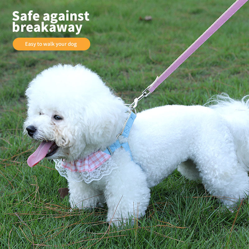 Small Pet Harness With Secure, No-Abrasion Walking