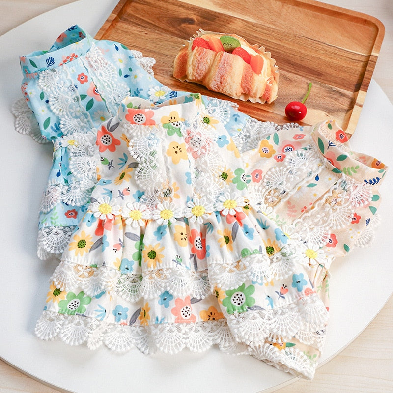 Floral Dog Dress with Lace for Photo-Ready Moments