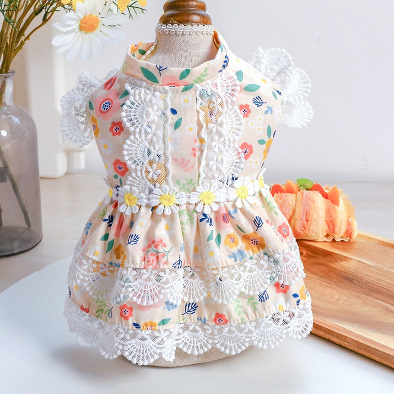 Floral Dog Dress with Lace for Photo-Ready Moments