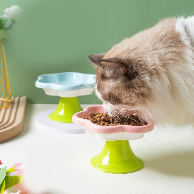 Elevated Ceramic Cat Bowl for Comfortable Mealtimes