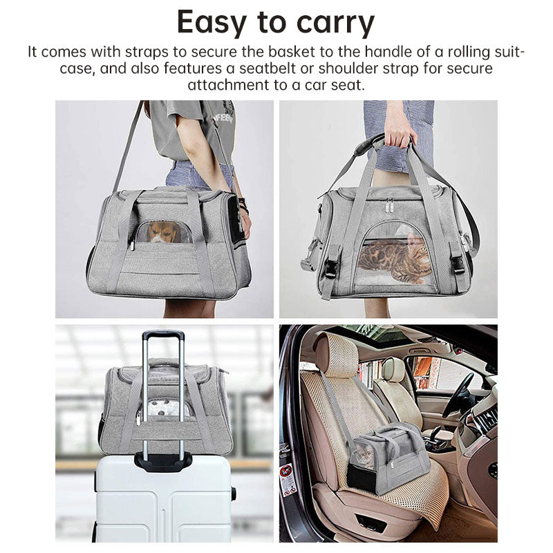 Foldable Pet Carrier Bag for Easier Small-Pet Travel