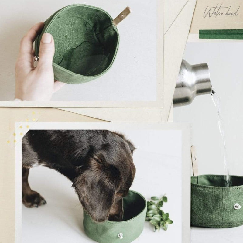 Foldable Dog Travel Bowl for Easy Outdoor Feeding
