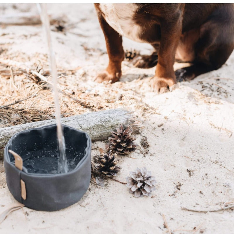 Foldable Dog Travel Bowl for Easy Outdoor Feeding