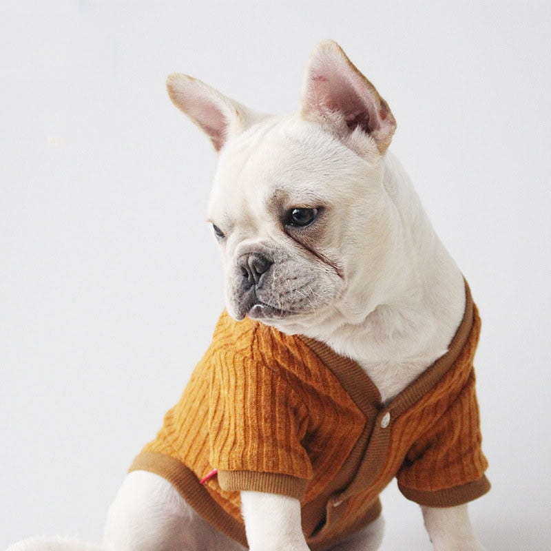French Bulldog Sweater for Stylish Everyday Warmth