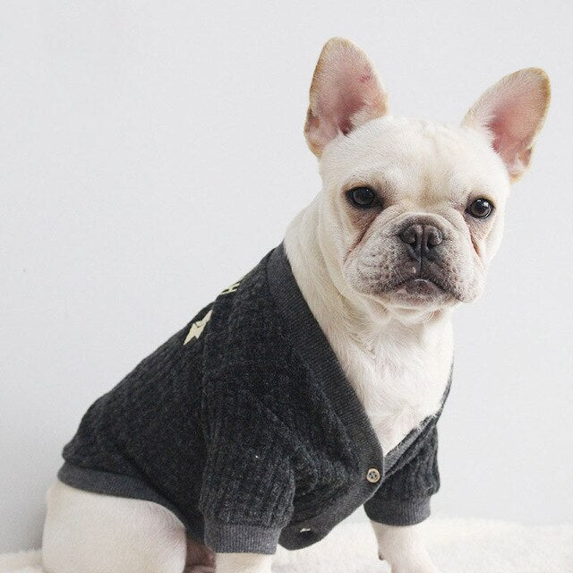 French Bulldog Sweater for Stylish Everyday Warmth