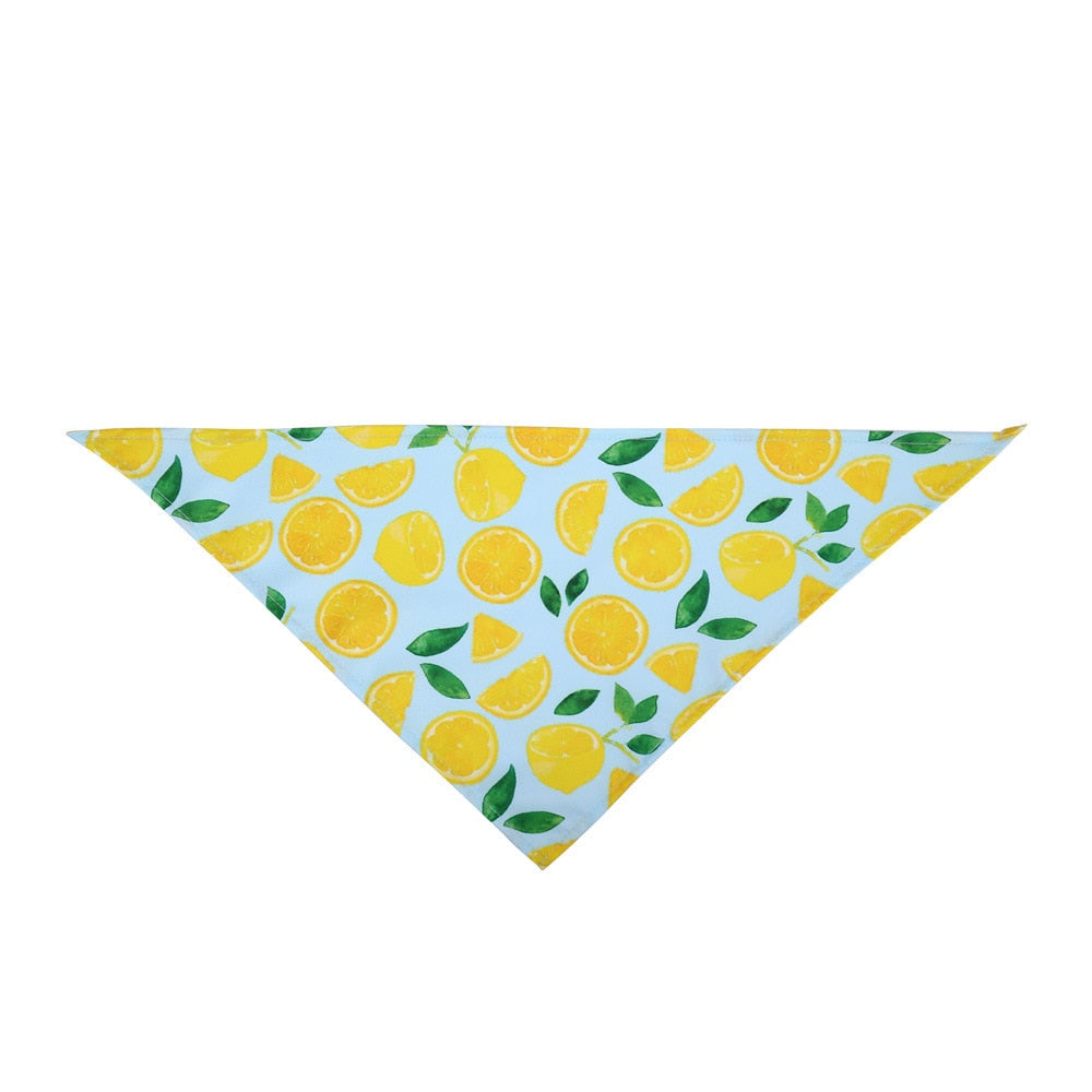 Fruit Print Pet Bandana for Colorful Summer Pet Style