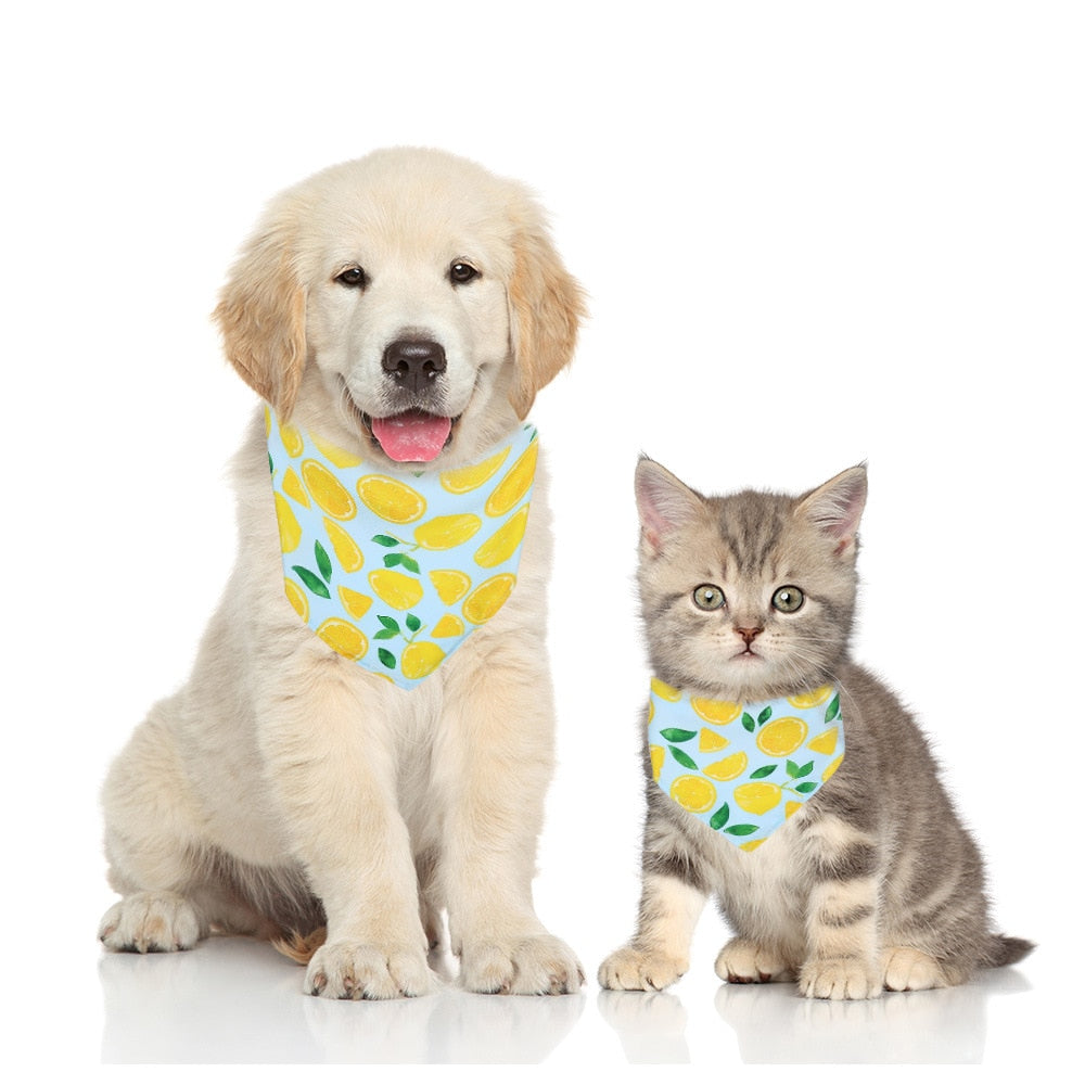 Fruit Print Pet Bandana for Colorful Summer Pet Style
