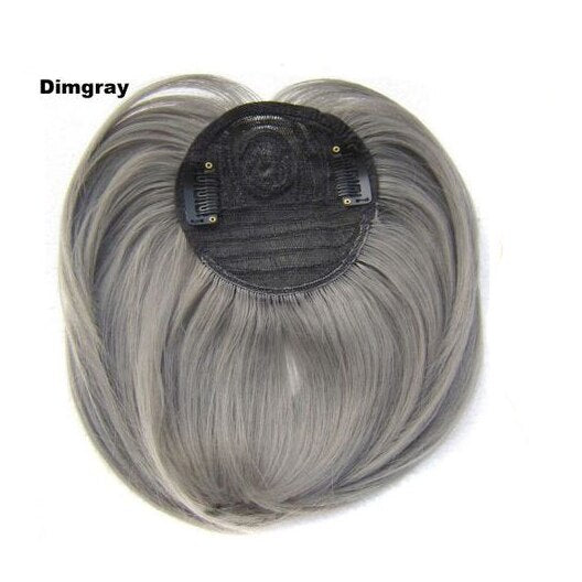 Clip In Bangs Synthetic — Blunt Fringe Hairpiece in 9+