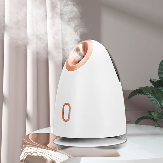 Facial Steamer with Warm Nano Mist for Dry-Feeling Skin