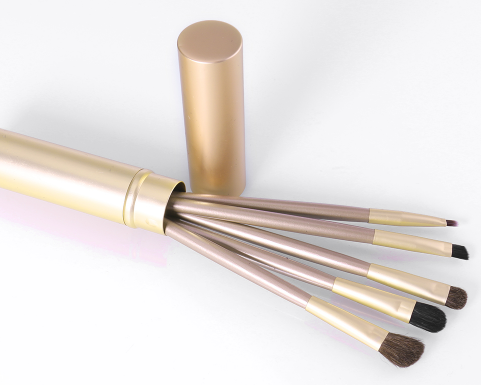 Eye Makeup Brush Set — 5 Precision Brushes in Luxe Gold Tube