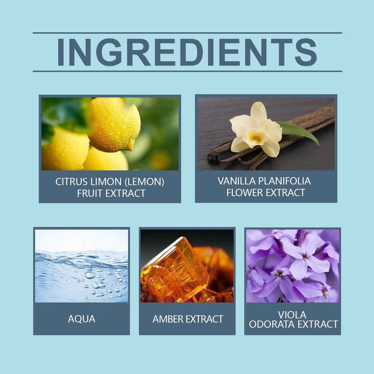 Fresh Amber Wood Perfume for Everyday Elegant Wear