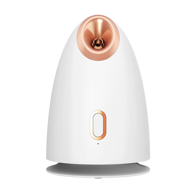 Facial Steamer with Warm Nano Mist for Dry-Feeling Skin