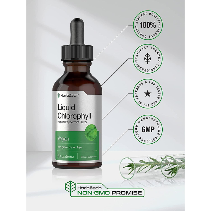 Vegan Chlorophyll Liquid Drops – Pure Green Nutrition Daily