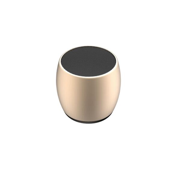 Mini Dual Bluetooth Speaker with Charging Base — True
