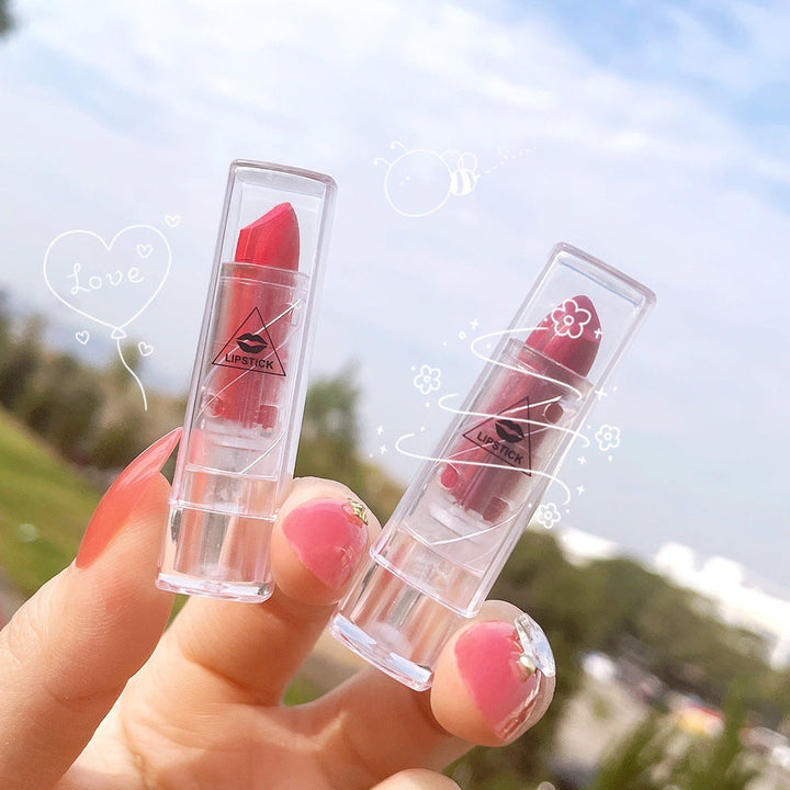 Matte Lipstick for Portable Everyday Color, Peach Pink