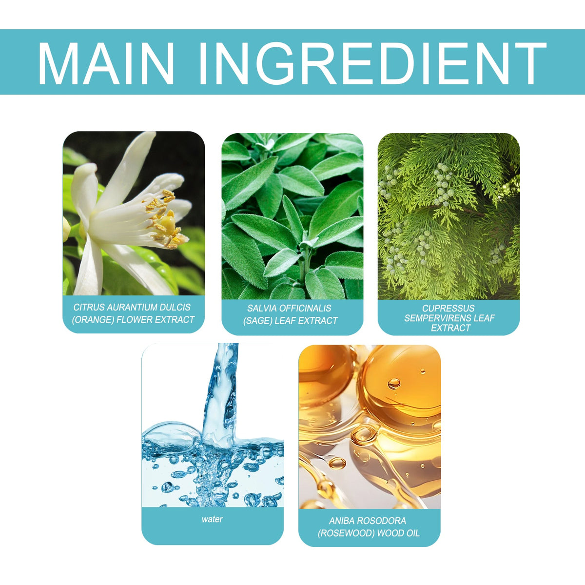 Jasmine Orchid Perfume - Light Fresh Lasting Fragrance 50ml