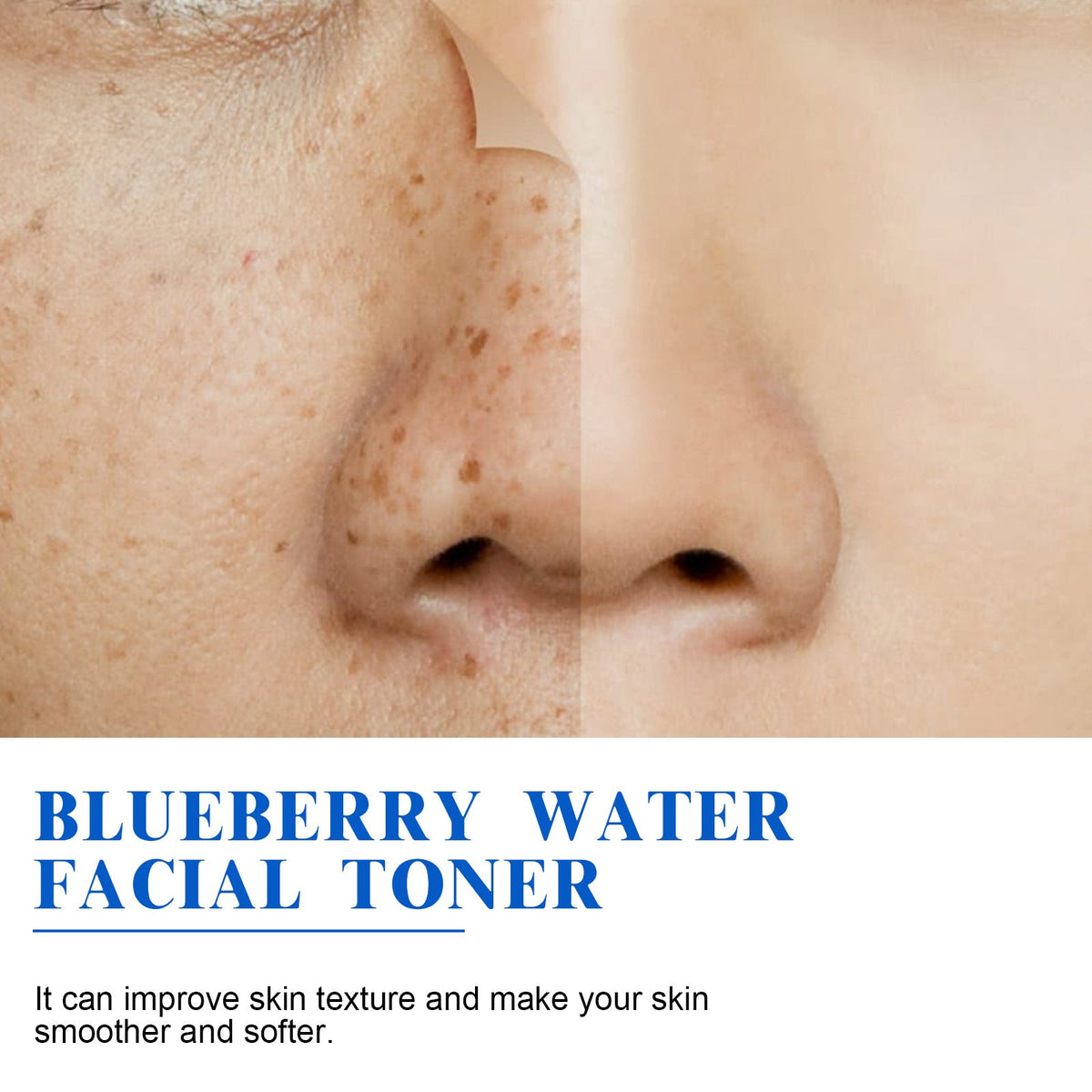 HOYGI Blueberry Toner - Hydrating Antioxidant Face Mist