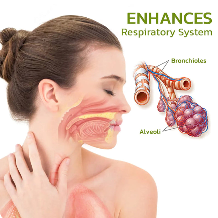 Herbal Lung Cleansing Spray — Clear Trachea & Lung Residues