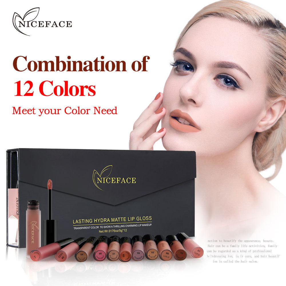 12-Color Matte Lip Gloss Gift Set for Lasting Color