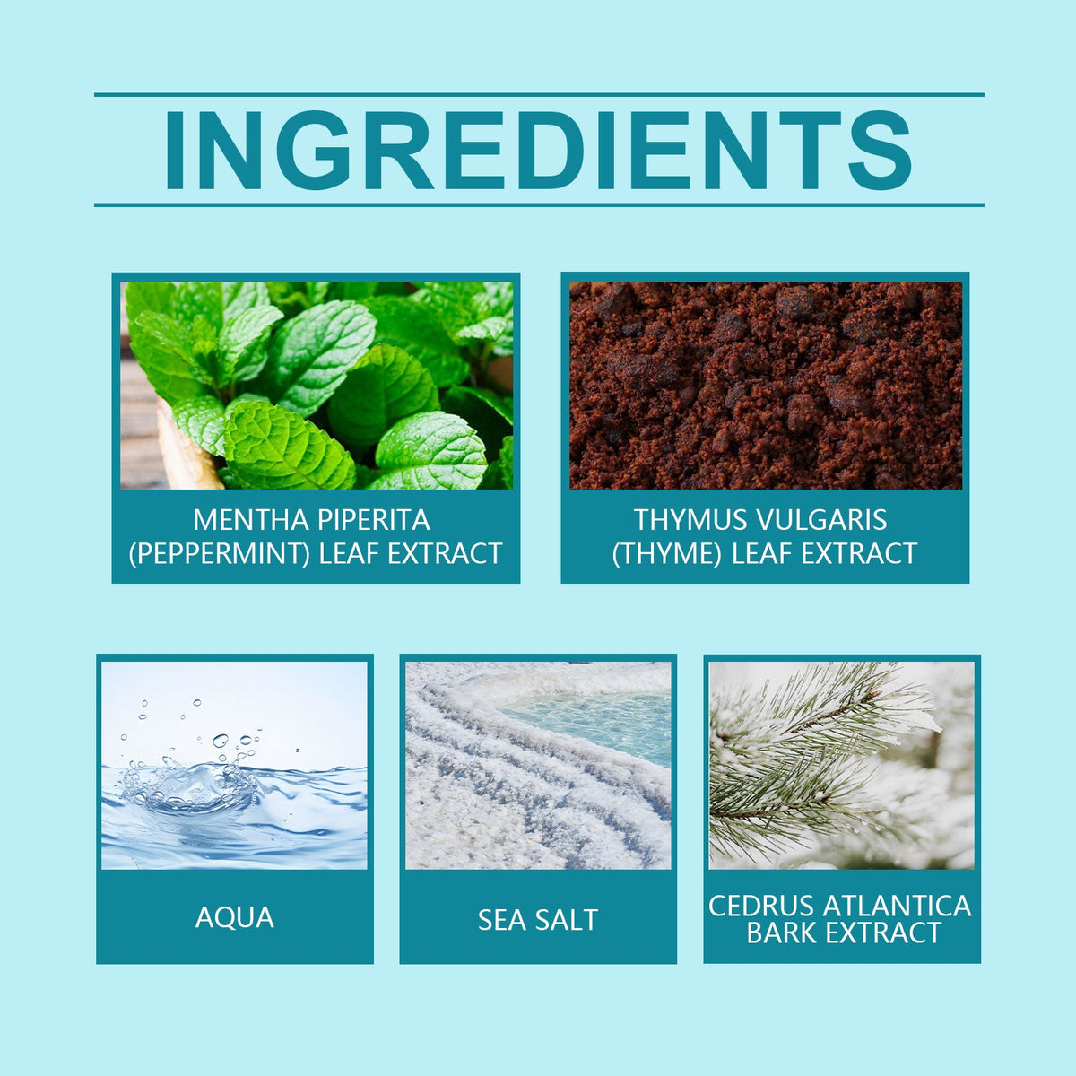 Mint Sea Salt Perfume – Fresh Long-Lasting Fragrance