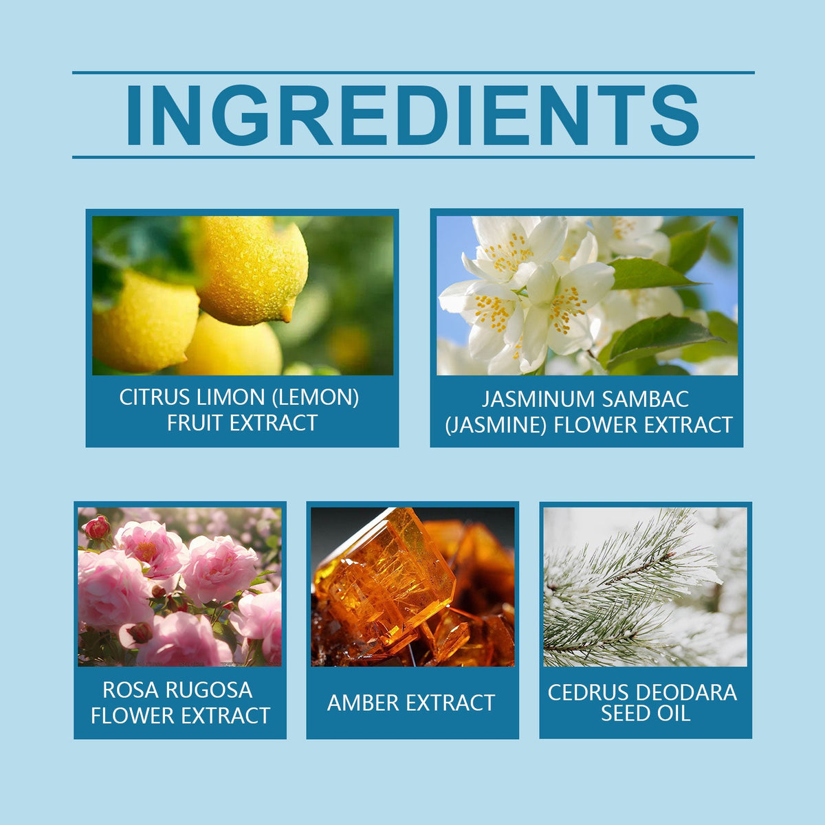 Summer Lemon Perfume – Long-Lasting Fresh Fragrance