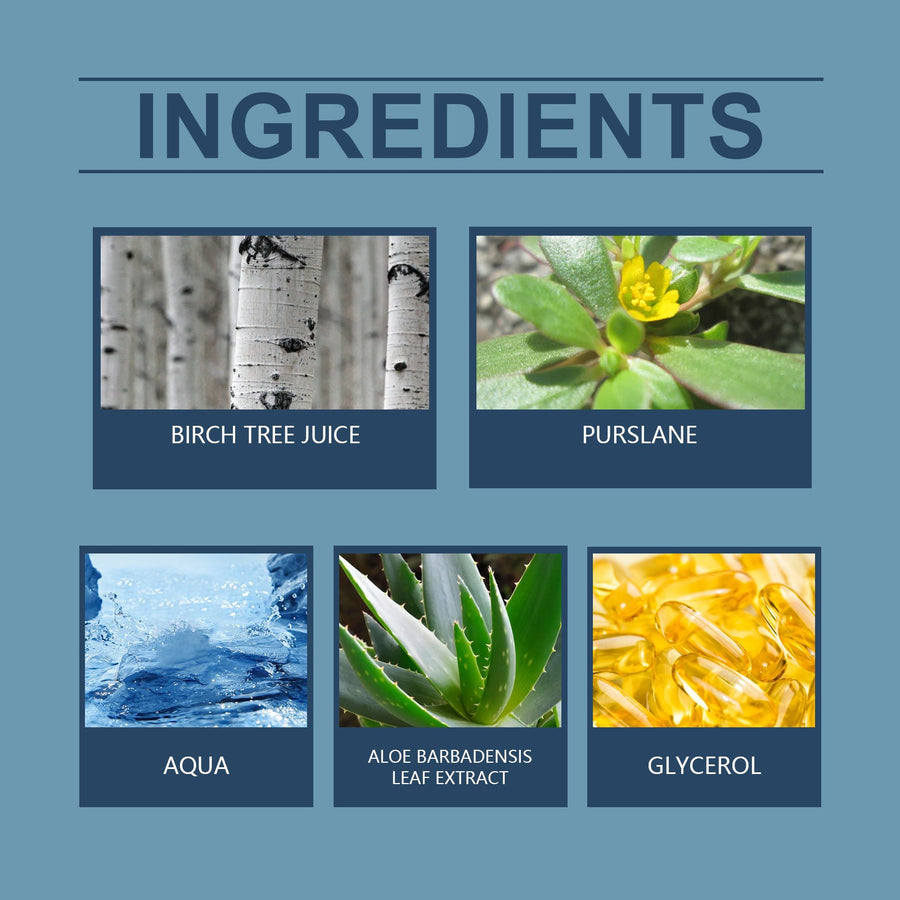 Birch Sap Moisturizing Lotion for Smooth, Soothed Skin