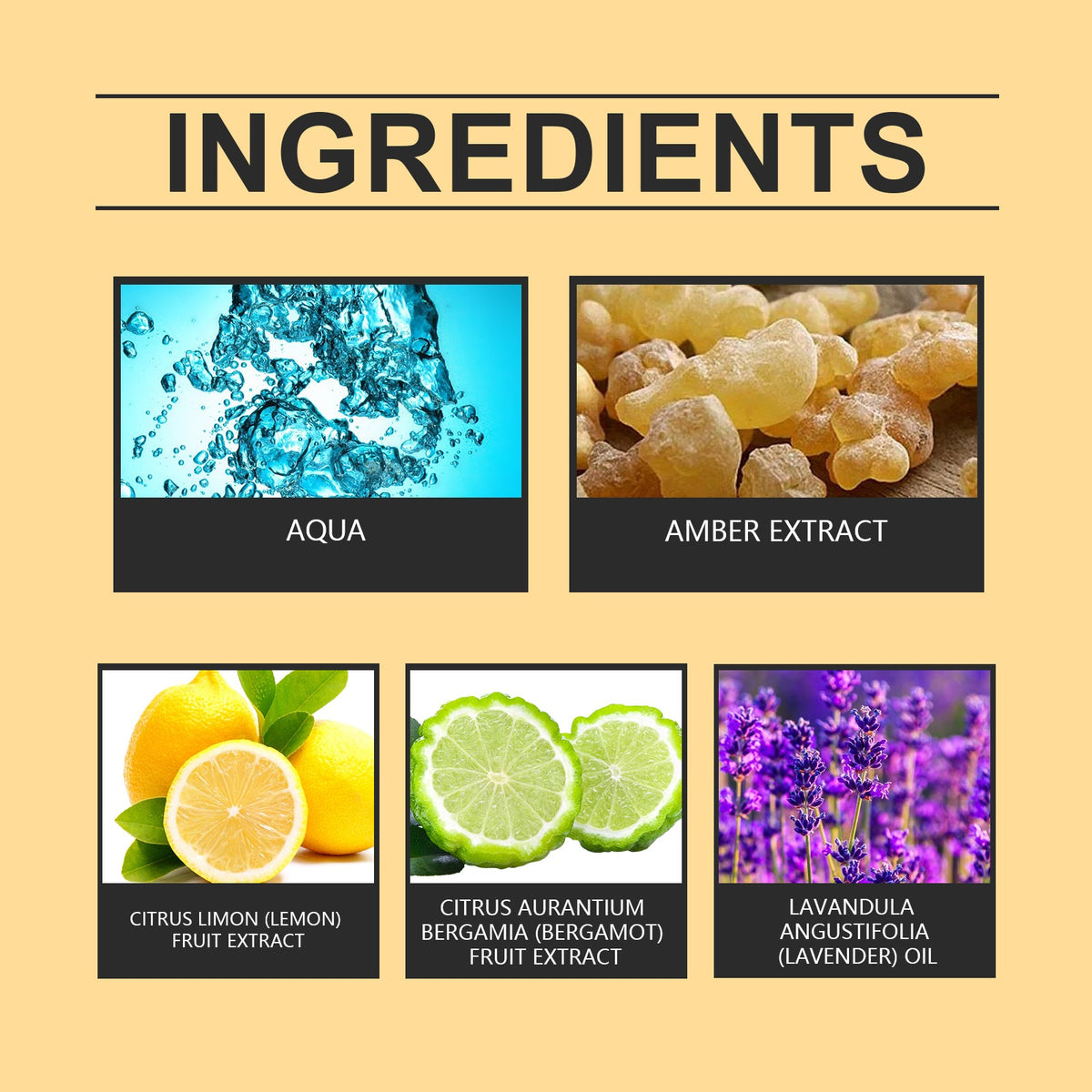 Amber Wood Perfume Spray for Fresh, Lasting Daily Charm