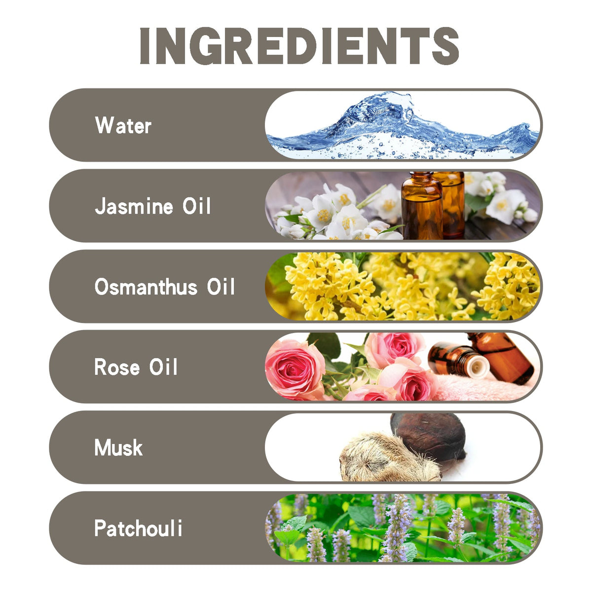 Body Perfume Roll‑On — Fresh All‑Day & Pheromone Boost
