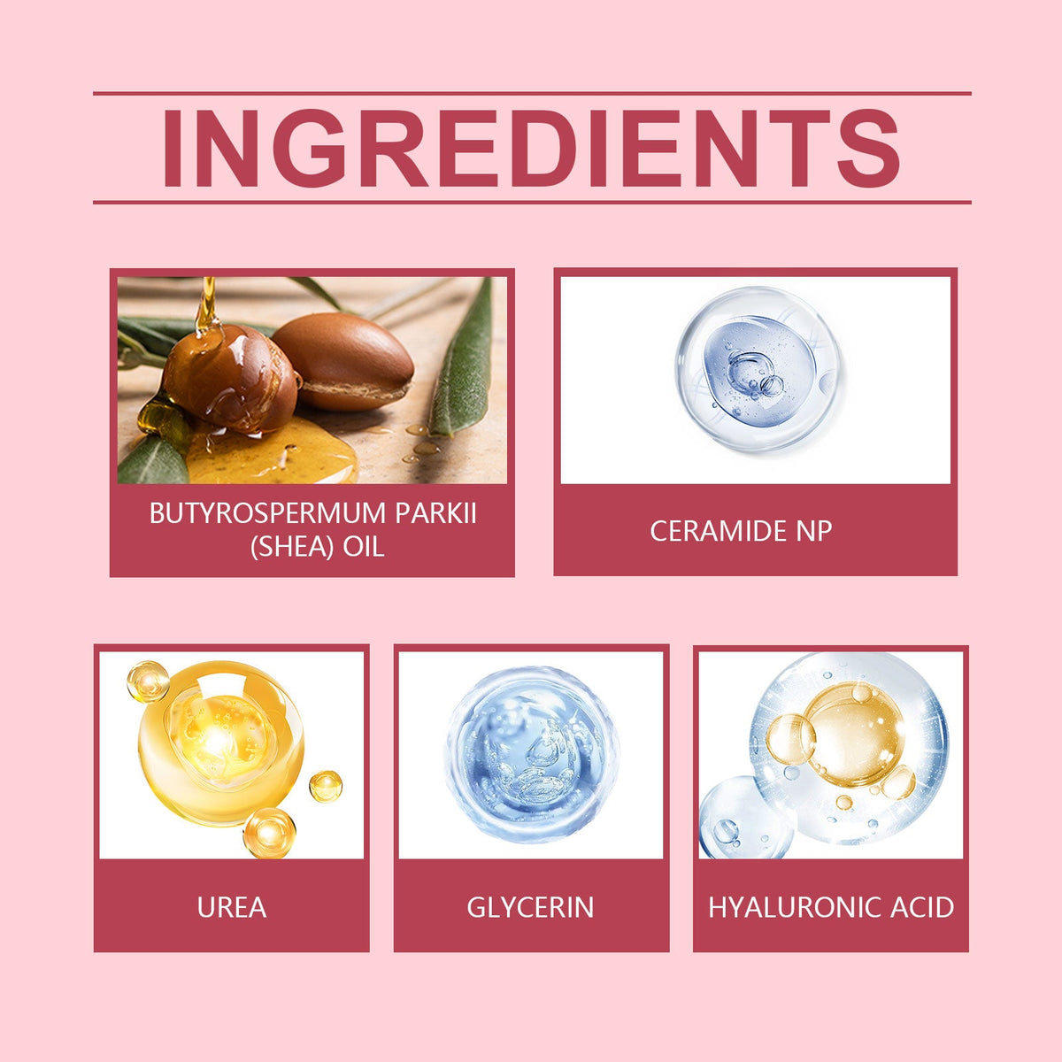 Oceaura Face Cream for Extremely Dry, Sagging Skin