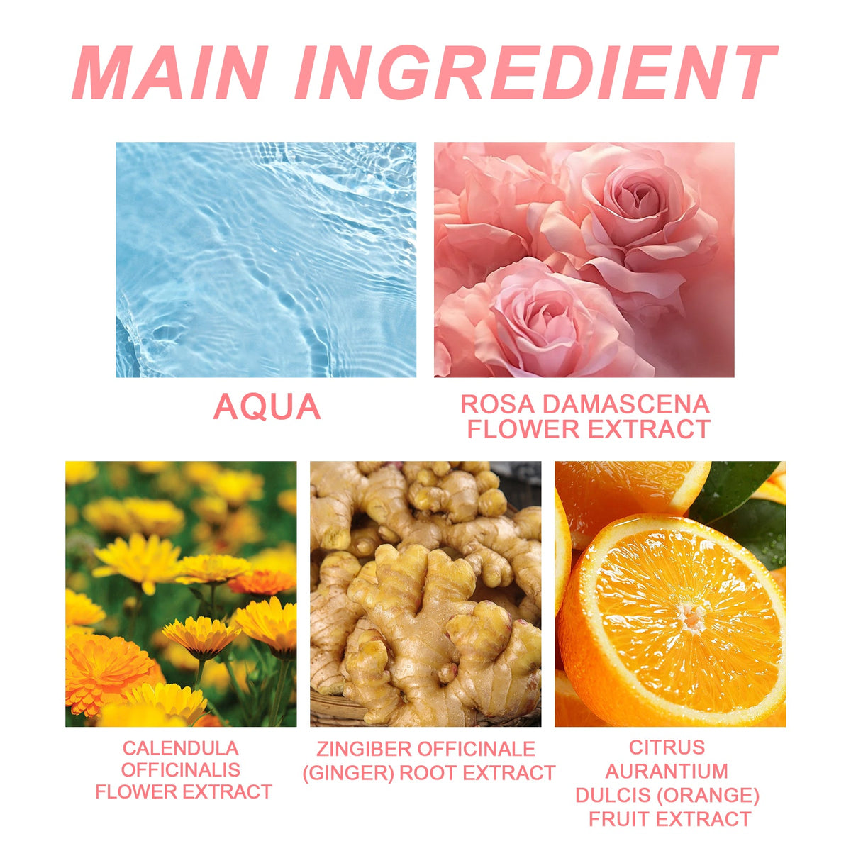 Rose Perfume for Women, Fresh Elegant All-Day Scent